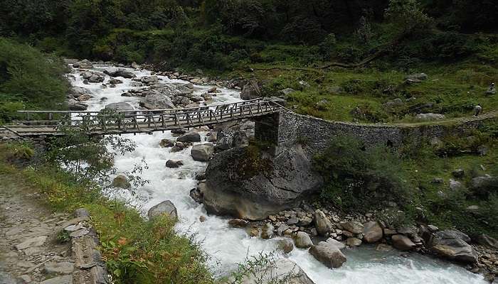 Located in Uttarakhand, this natural wonder offers stunning views of the mountains and a memorable trekking experience 