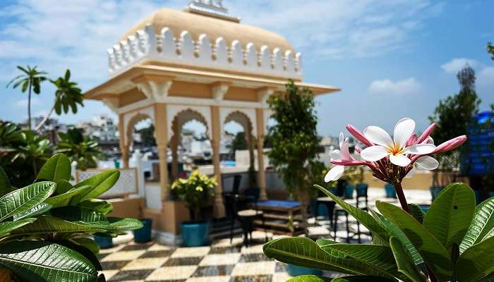 The Petal of Mewar offers an unforgettable stay and unmatched hospitality at top hotels near Fateh Sagar Lake.