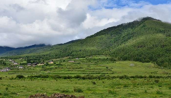  Lush green Phobjikha Valley.