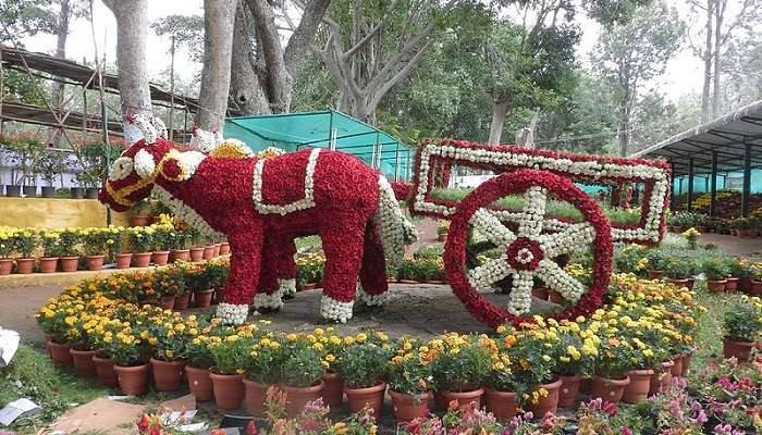 flower show is one of the famous Activities for children.