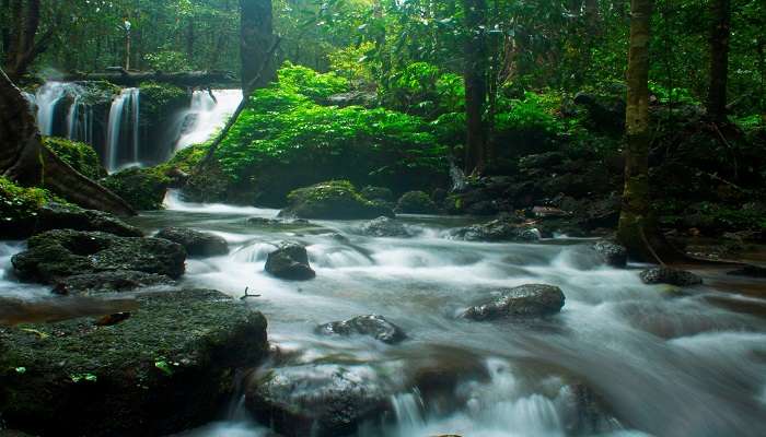 Places To Visit Near Agumbe