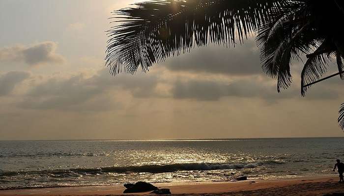 Cola Beach is one of the best places to visit in goa