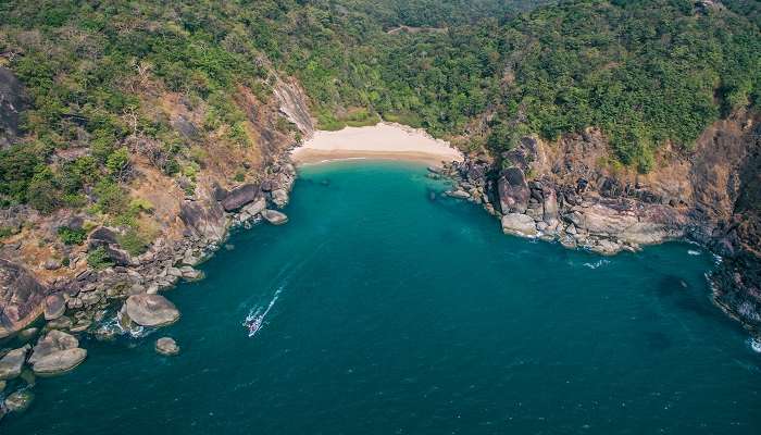 Explorez la plage de Butterfly