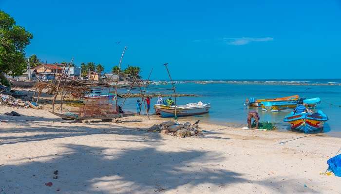 Colourful boats and fishermen at Point Pedro near Fort Hammenhiel Jaffna