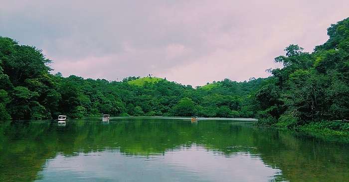 Pookot Lake In Wayanad Offers A Tranquil Atmosphere In 2024