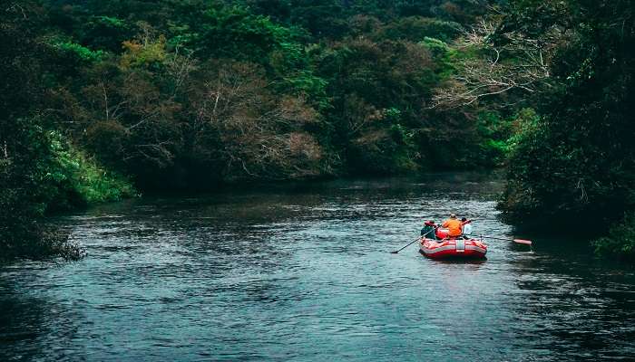 Go river rafting through the lush green forests of Madhya Pradesh