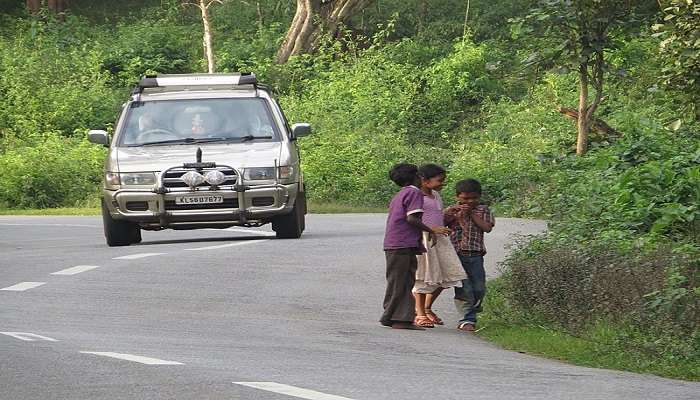 Tourists enjoying safari tours near Begur Wildlife Sanctuary