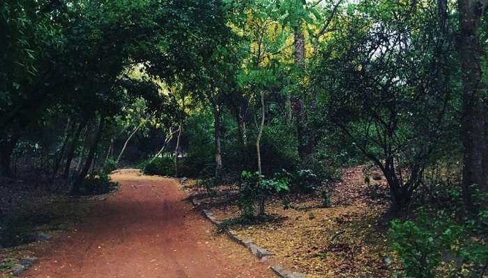 Know all about Sanjay Van
