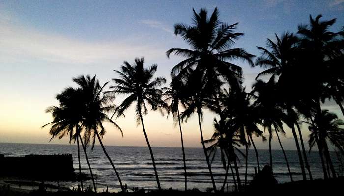 A view of the Sinquerim beach during sunset