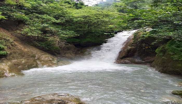  Shikhar Fall in Dehradun is a hidden gem providing an ideal breakout for people seeking quiet and adventure.