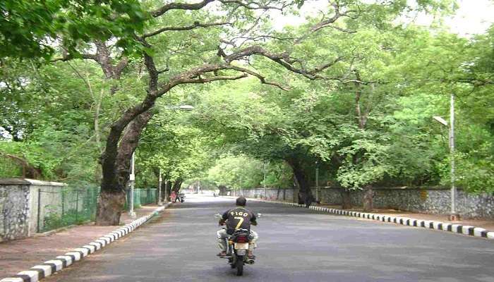 Skyline of Besant Road Vijayawada.