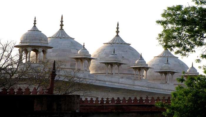  Explore Moti Masjid and its timeless architectural beauty.