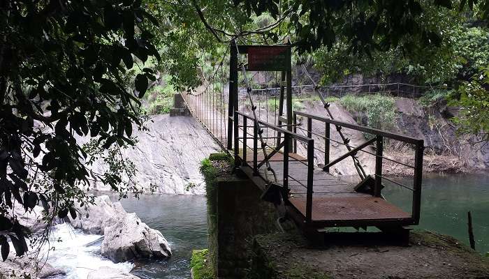 A bridge in the Silent Valley National Park
