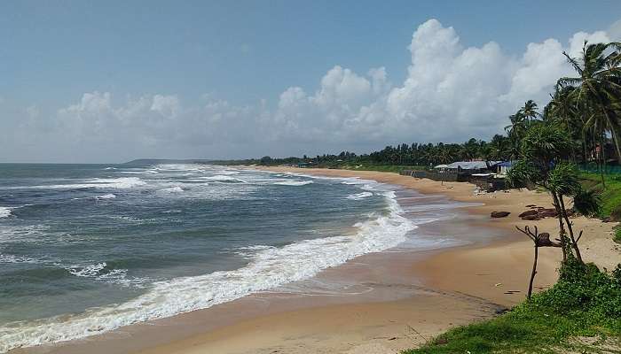 Clean and green Senquerim beach in Goa