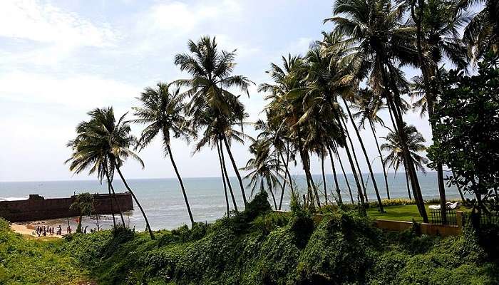 Beautiful views full of greenery at the Sinquerim Fort in Goa
