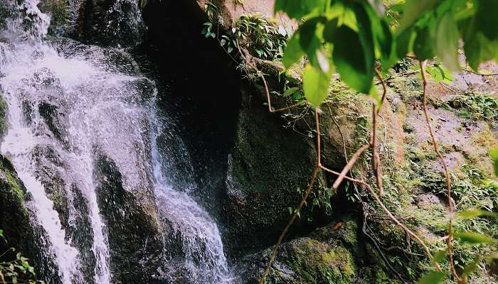 Crystals of faith at Siruvani Waterfalls