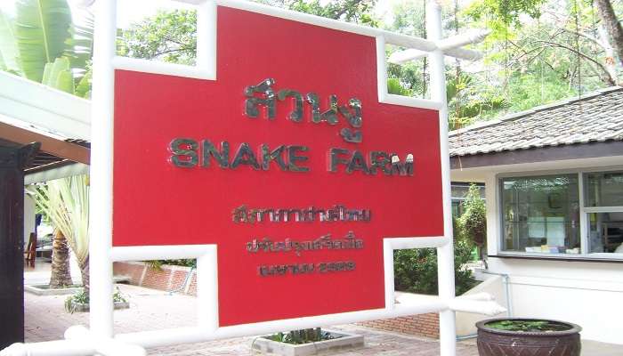 Snake Farm In Bangkok