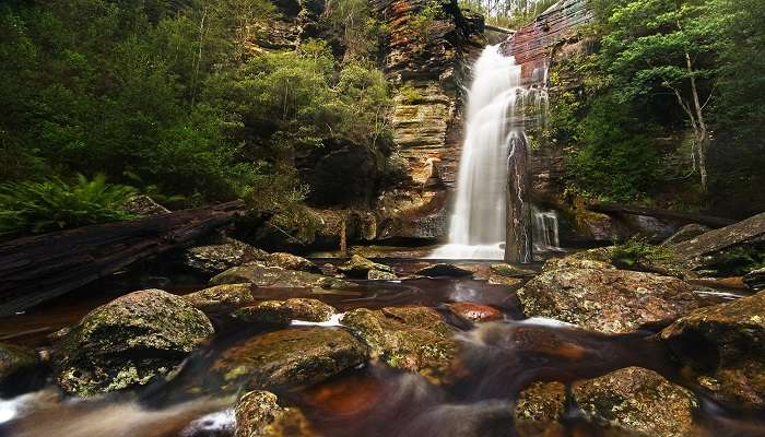 Beautiful view of Soochipara waterfalls near phantom rock