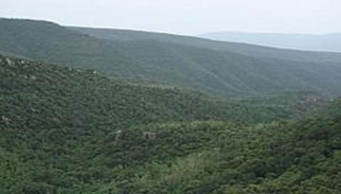 visit the Sri Venkateswara National Park.
