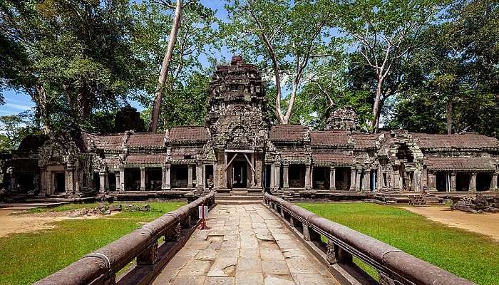 Lush green dense forest surrounded by the Ta Prohm Temple