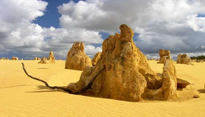Limestone formations in the Pinnacle Desert Australia at sunset
