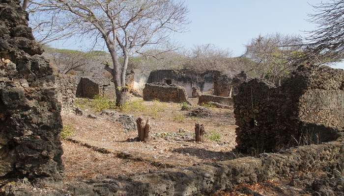 Ruins of the ancient city Takwa in Kenya
