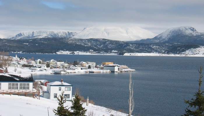 Terre-Neuve, C’est l’une des meilleurs endroits à visiter au Canada en hiver
