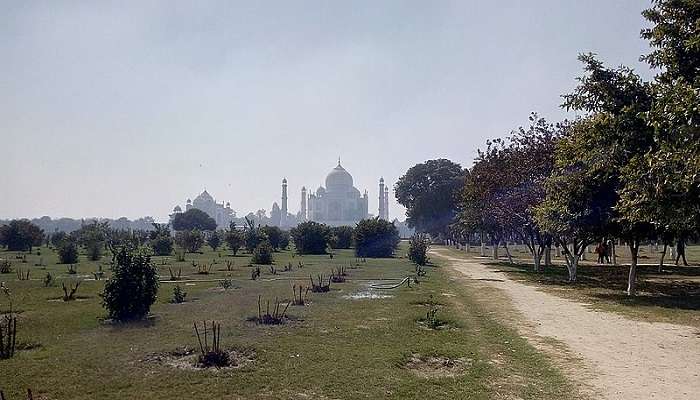 Mehtab Bagh during winter months is the best time to visit.
