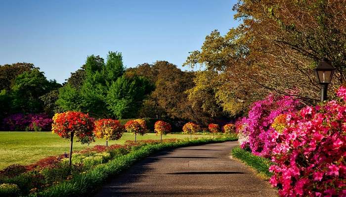 Visit the park when the temperature is comfortable.