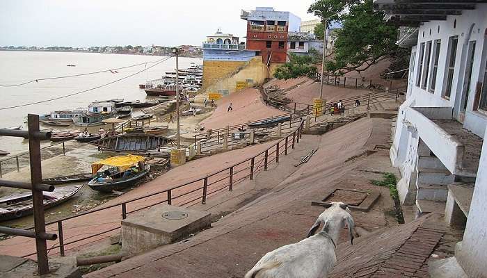 Laid back at this serene place in Varanasi.