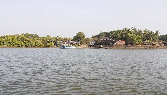 Zuari River near Rachol Fort, Goa