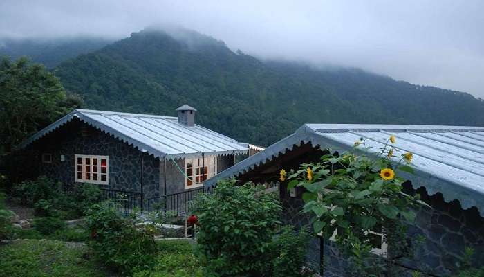 The Nest Cottages is undoubtedly one of the best resorts in Pangot to stay in