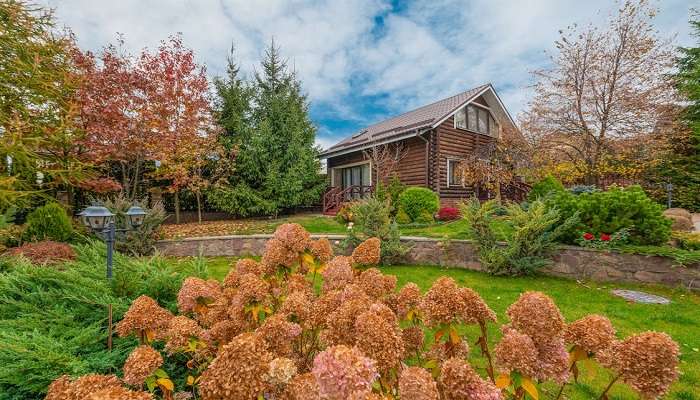 The Orchard Cottage in Bhowali amidst fruit trees