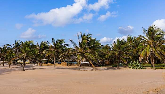 Pristine sands of Watamu Beach in Kenya