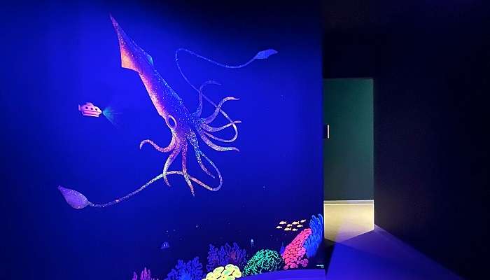 Colourful jellyfish reflecting light 