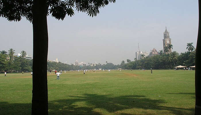 Picnic as a recreational activity is done in Gandhi Bagh