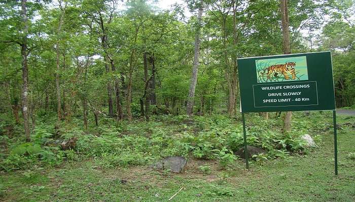 A section of sanctuary for tiger reserves 