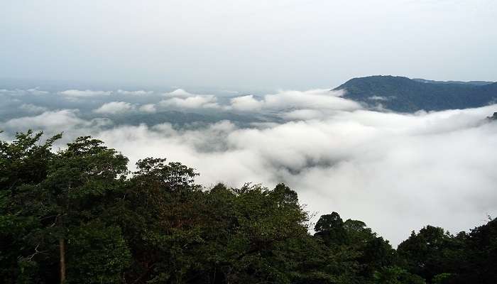 Things to do in Agumbe