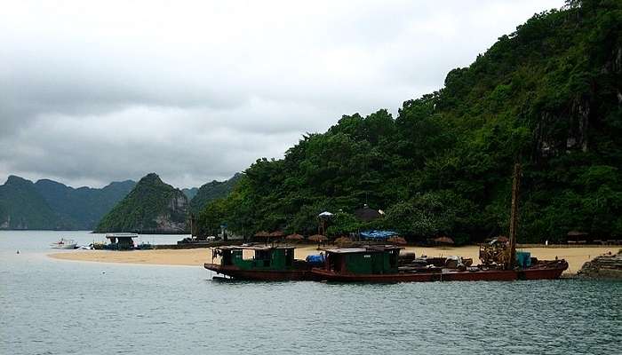  Serene landscape of Ti Top Island, showing sandy beach fringed with lush greenery and blue waters