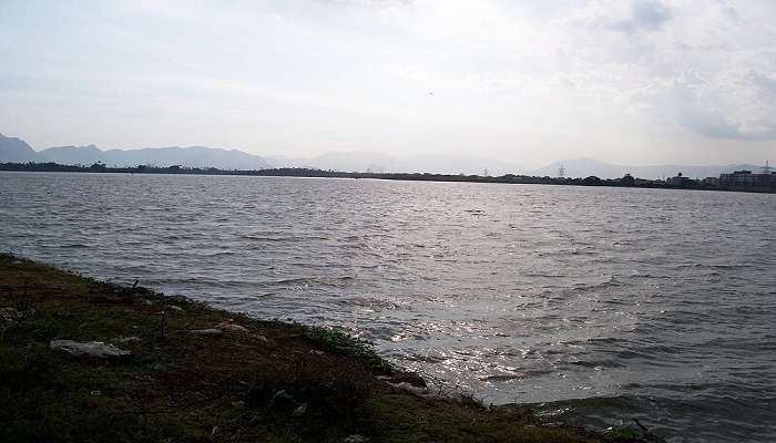 Ukkadam-Valankulam Lake, Puliakulam Vinayagar Temple