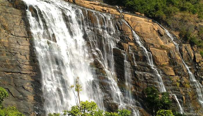 A panoramic view of the Unchalli Falls in Karnataka
