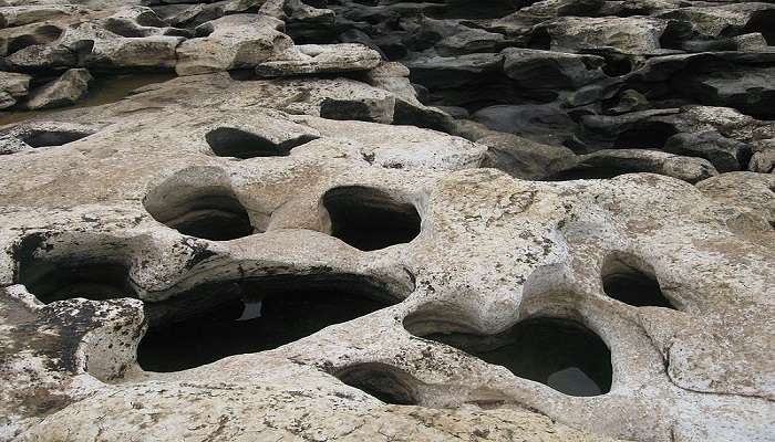 Dog footprint rock formation in Thailand.