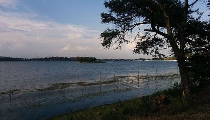 Eye-luring view of Van Vihar National Park near the Birla Museum Bhopal.