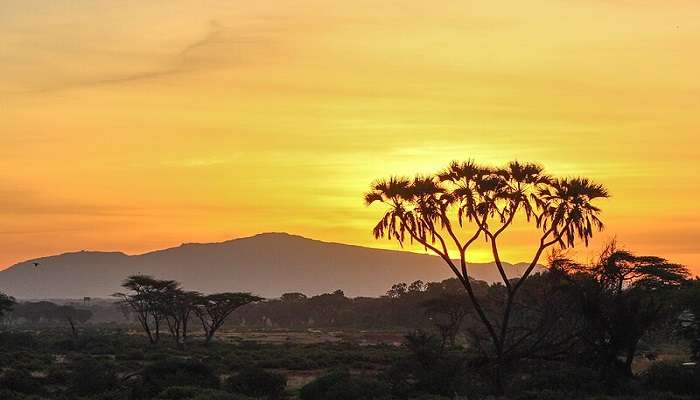 Safari in Kenya, Africa