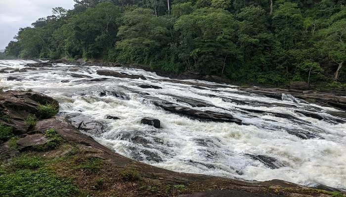 Vazhachal Waterfalls is 19 km from Thumboormuzhi Dam.