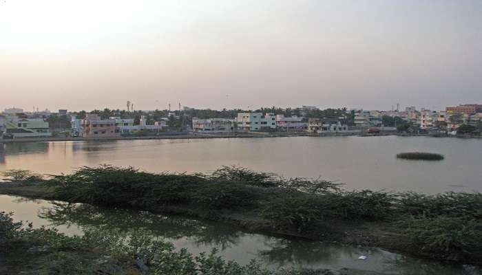 The evening view of Velachery Lake to visit while staying at the Best hotels in Velachery.