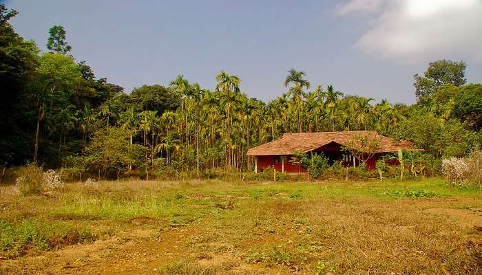 Cottages in agumbe rainforest research station