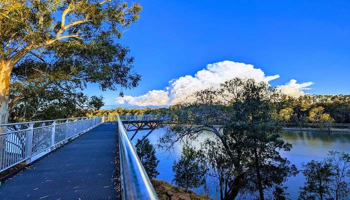 Narrandera Skywalk 