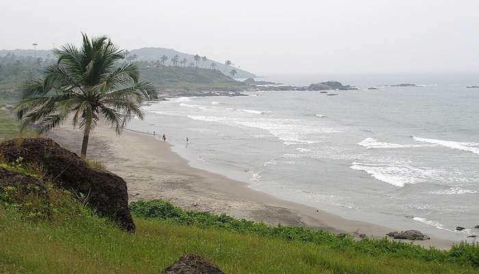 Goa’s Vagator Beach nearing to hotels near ashwem beach 