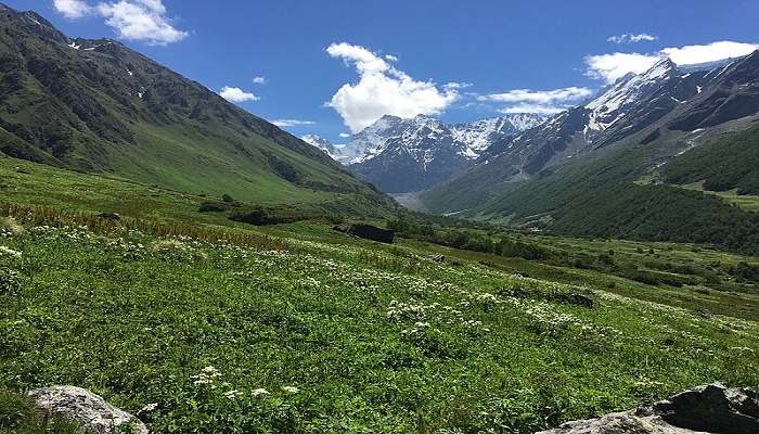 Chamoli is quite famous for its Valley of Flowers. 